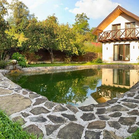 Вілла Бовч Yaremche Bagian luar foto